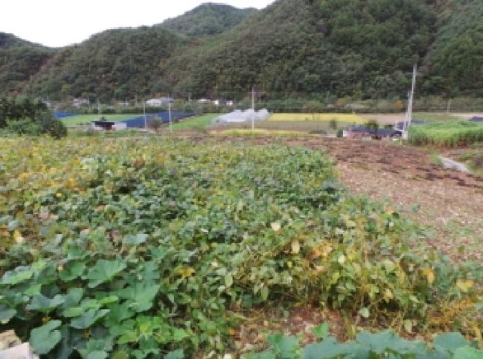 경매 물건 사진