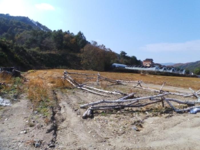 경매 물건 사진