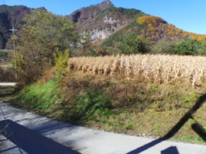경매 물건 사진