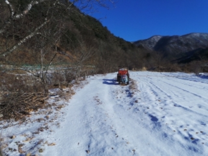 경매 물건 사진