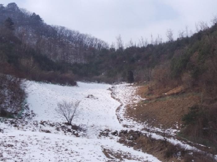 경매 물건 사진