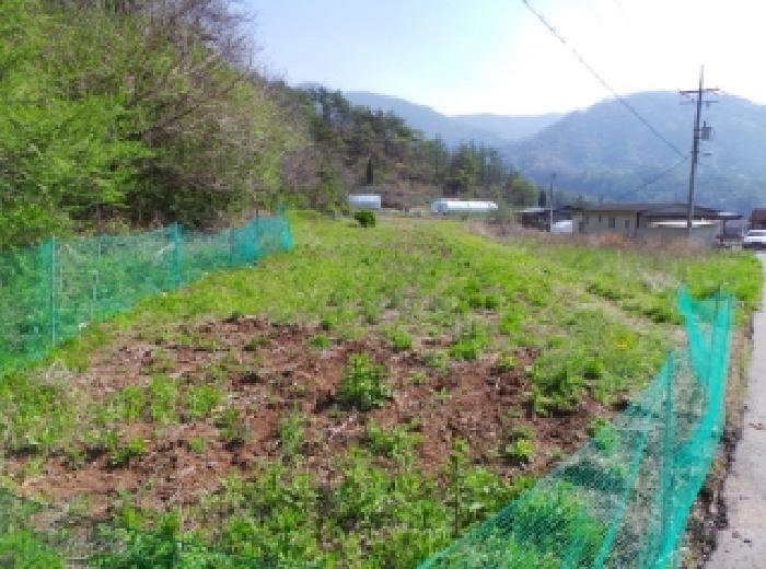 경매 물건 사진