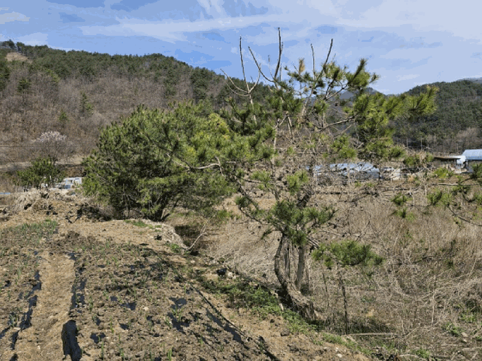 경매 물건 상세 사진