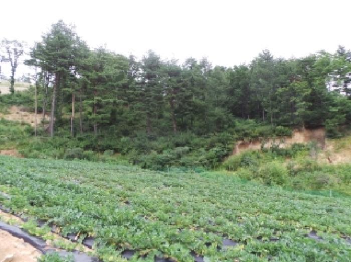 경매 물건 사진