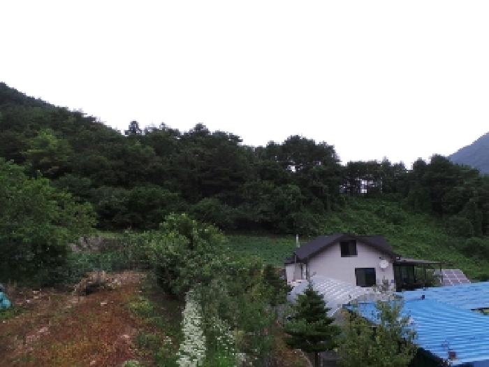 경매 물건 사진
