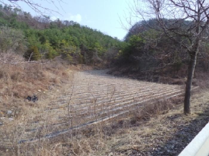 경매 물건 사진