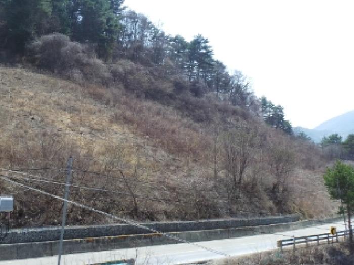 경매 물건 사진