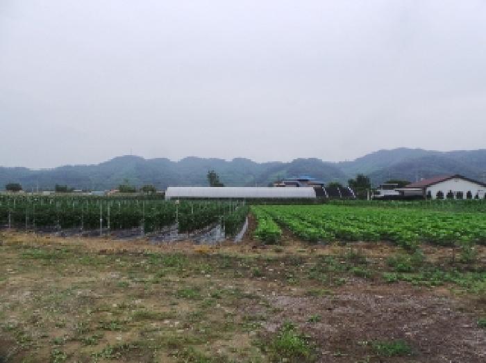 경매 물건 상세 사진