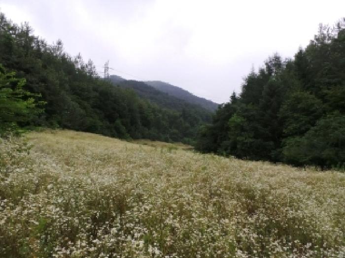 경매 물건 상세 사진