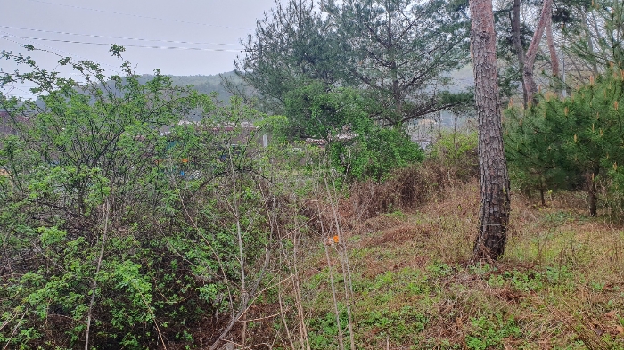 경매 물건 상세 사진