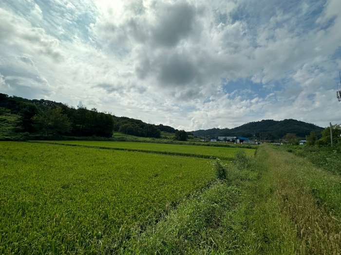 경매 물건 상세 사진