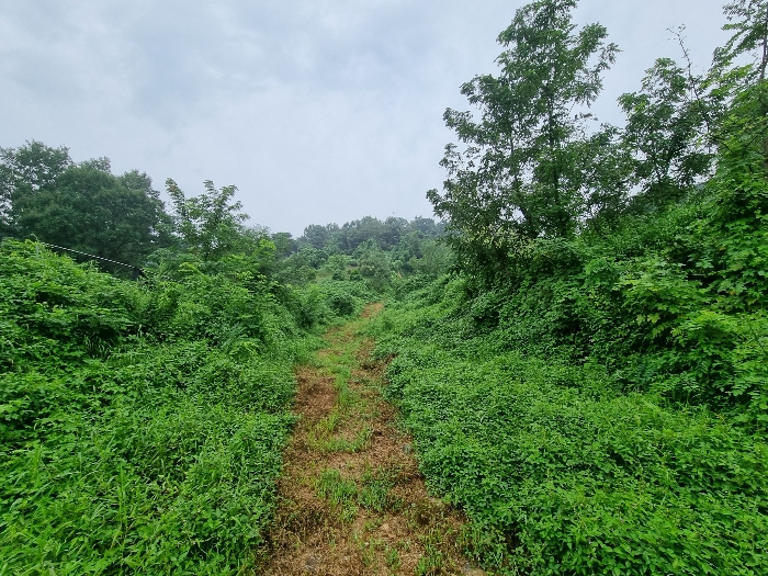 경매 물건 상세 사진