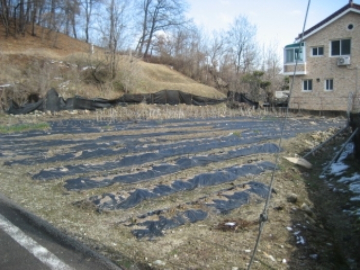 경매 물건 사진