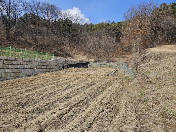 경매 물건 상세 사진