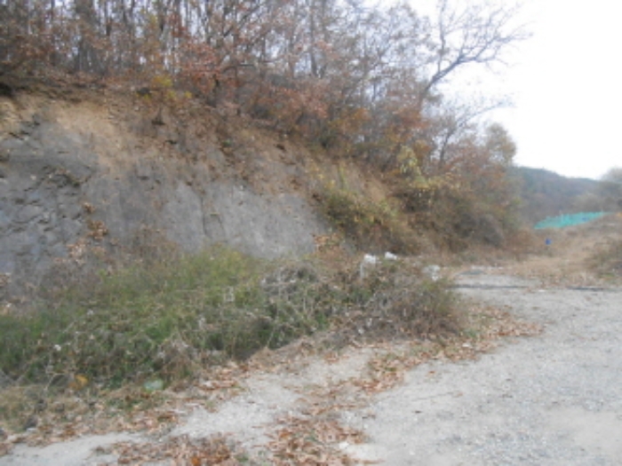 경매 물건 상세 사진