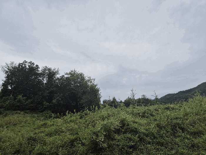 경매 물건 상세 사진