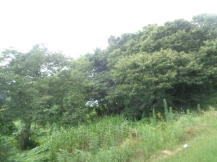 경매 물건 사진