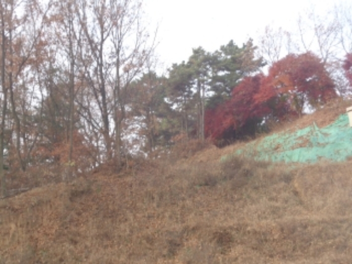 괴산 청안면 임야 …