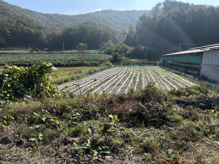 경매 물건 상세 사진