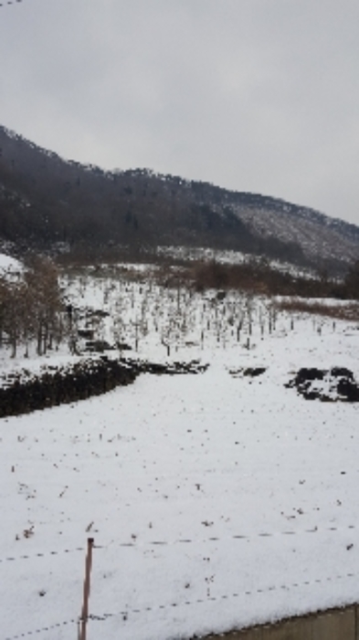 경매 물건 사진