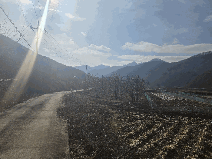 경매 물건 상세 사진