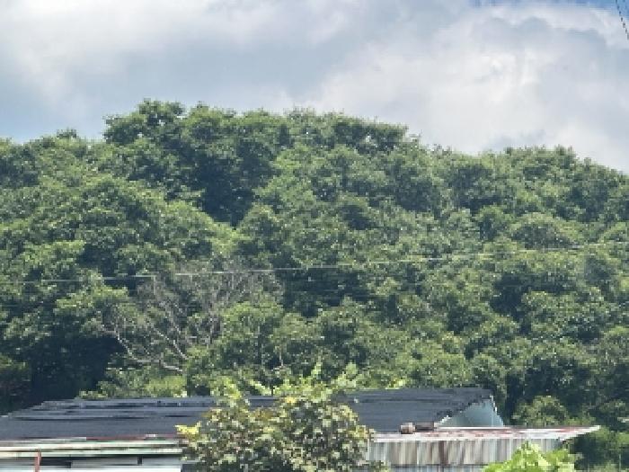 괴산 후영리 부동산…