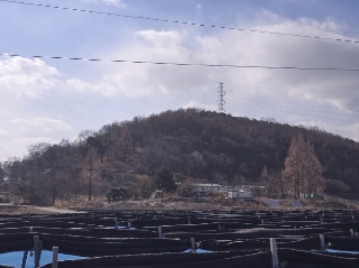 청주 가덕면 부동산…