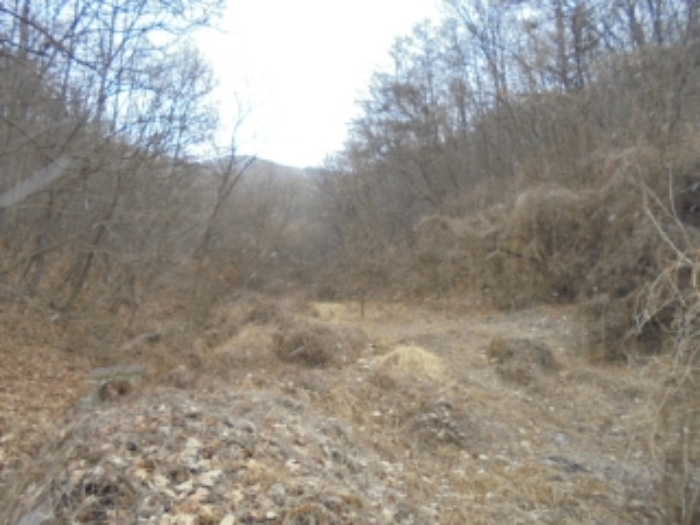 경매 물건 사진