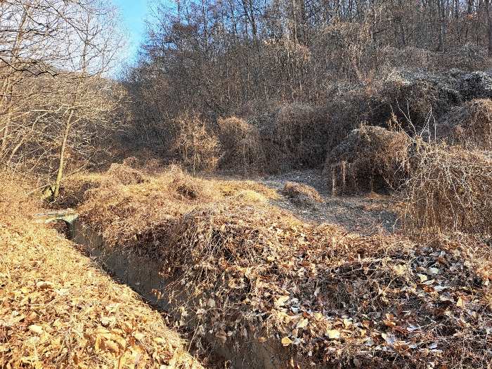 경매 물건 상세 사진