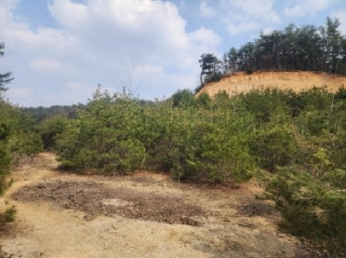 경매 물건 사진