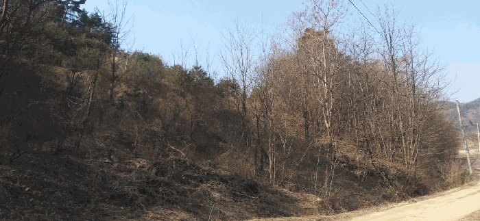 경매 물건 상세 사진