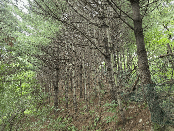 경매 물건 상세 사진