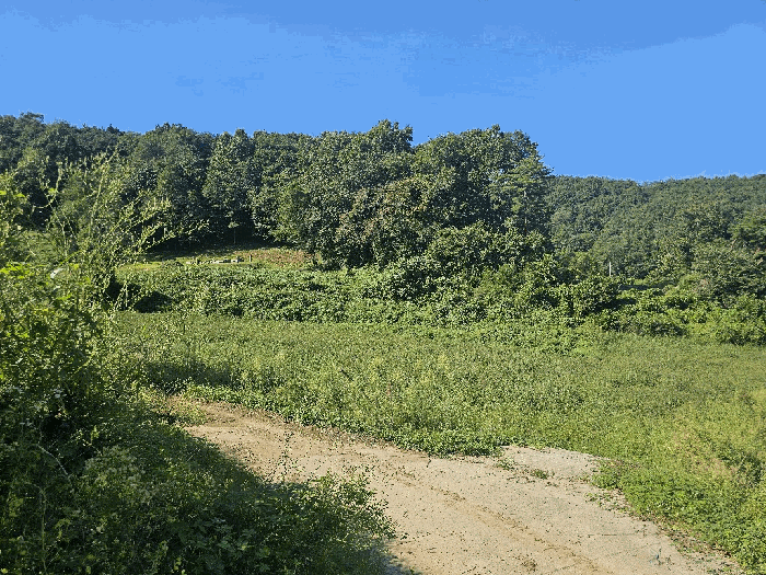경매 물건 상세 사진