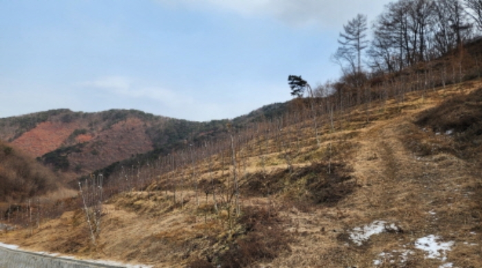 경매 물건 사진