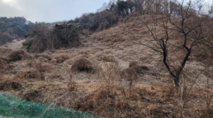 경매 물건 사진