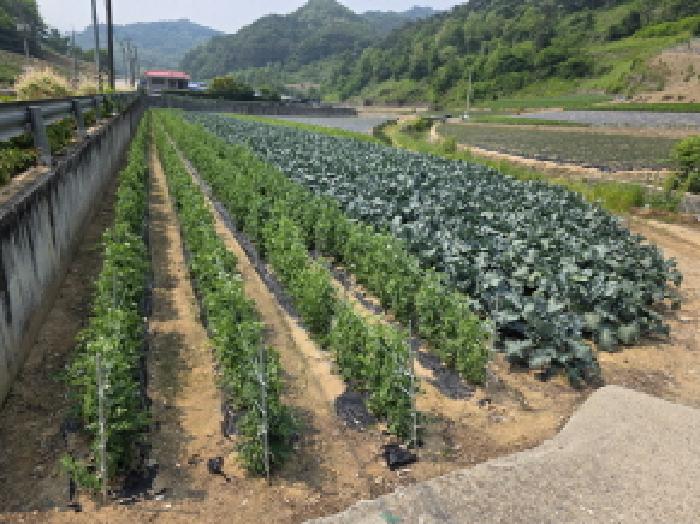 경매 물건 사진