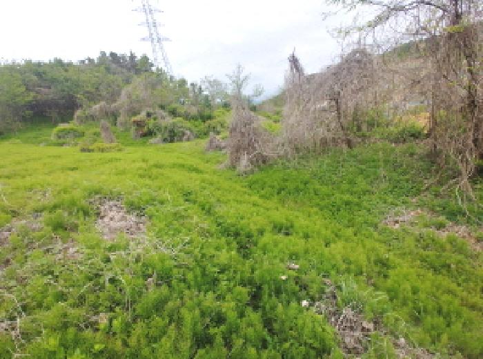 경매 물건 상세 사진