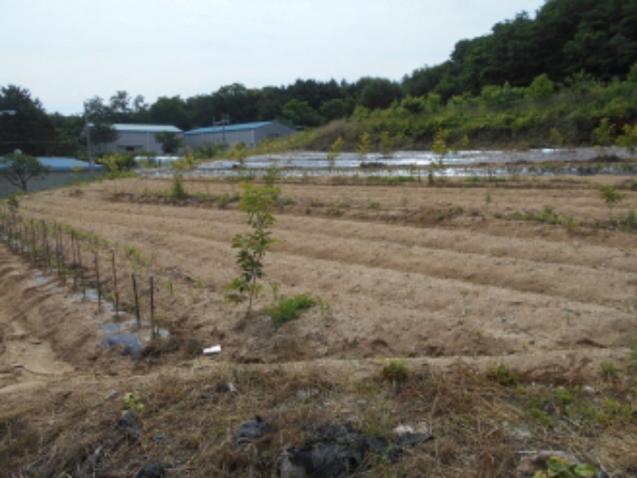 경매 물건 사진