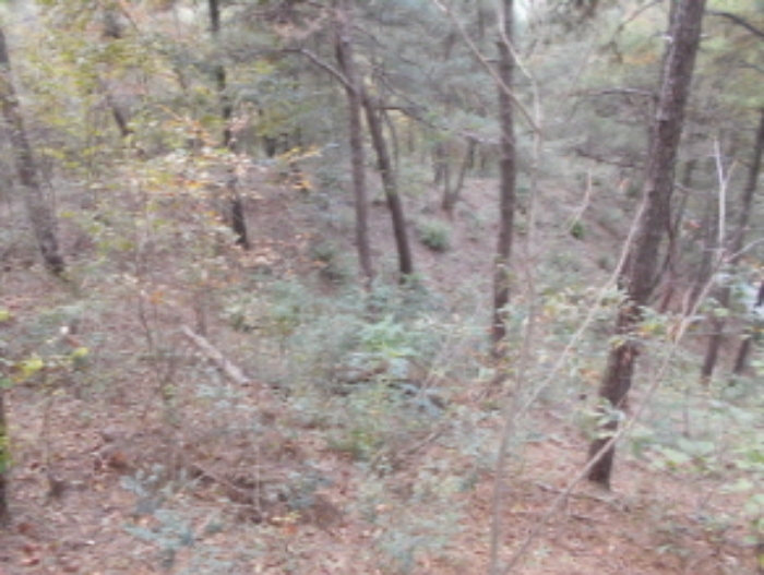 경매 물건 사진