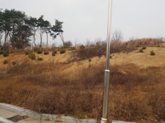 경매 물건 사진