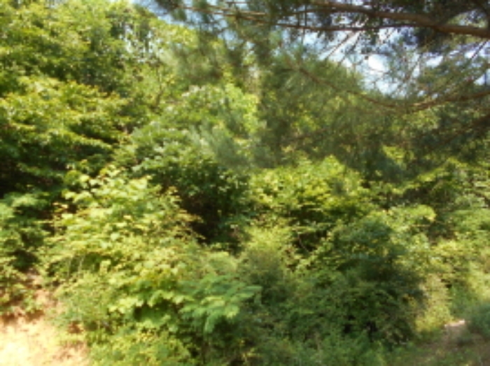 경매 물건 사진