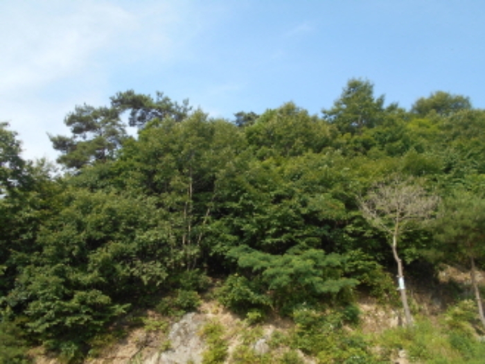 경매 물건 상세 사진