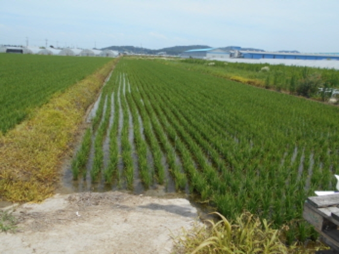 경매 물건 사진