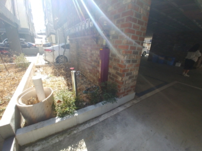 대전 유천동 부동산…