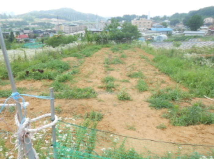 경매 물건 사진