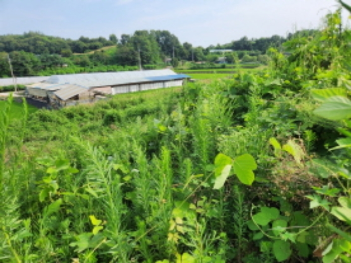 경매 물건 상세 사진