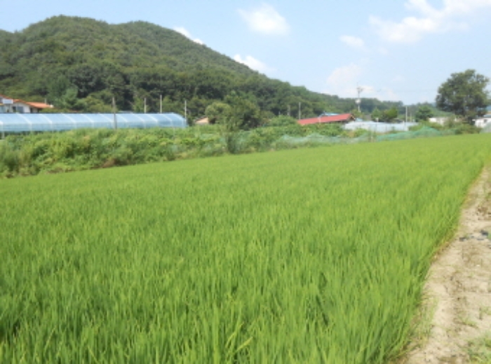 경매 물건 사진