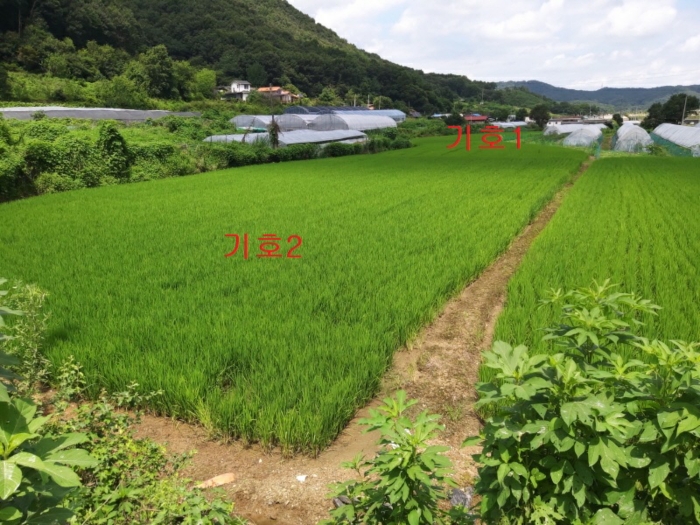 경매 물건 상세 사진