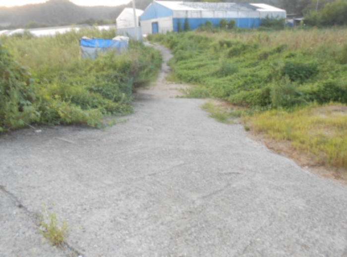 경매 물건 사진