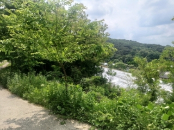 경매 물건 상세 사진